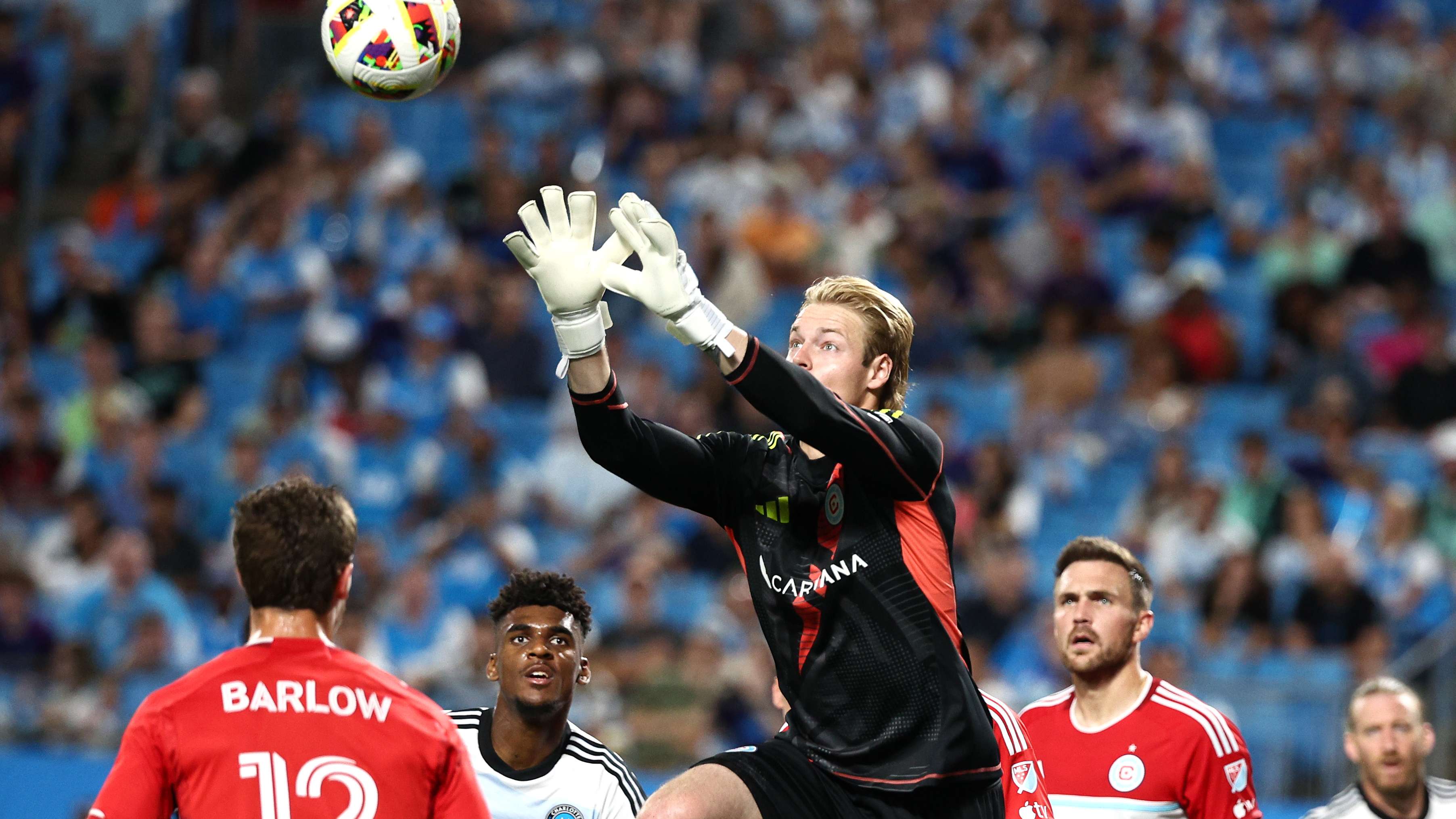 作为上海海 作为上海海