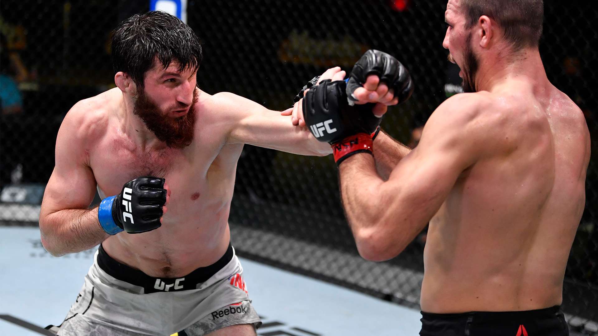 发展机会 发展机会